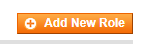 The Add New Role button in Magento