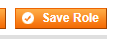 The Save Role button in Magento
