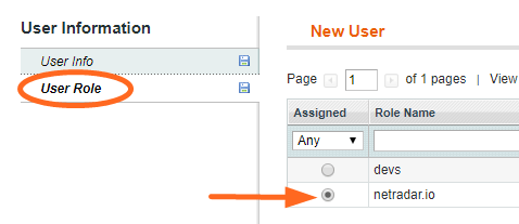 User Role tab with the netradar.io role selected