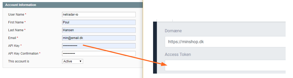 The API key from the Magento user form copied into the Access Token field in NetRadar.io