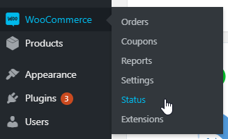 WordPress admin menu with WooCommerce → Status selected